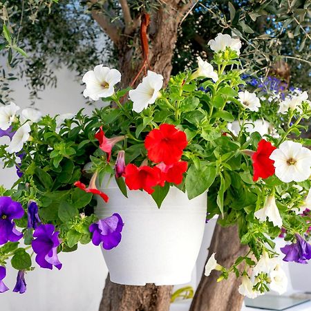 Villa Del Capo Suites Rhodes City 외부 사진